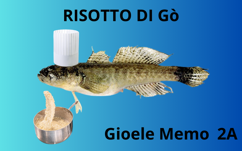 Risotto